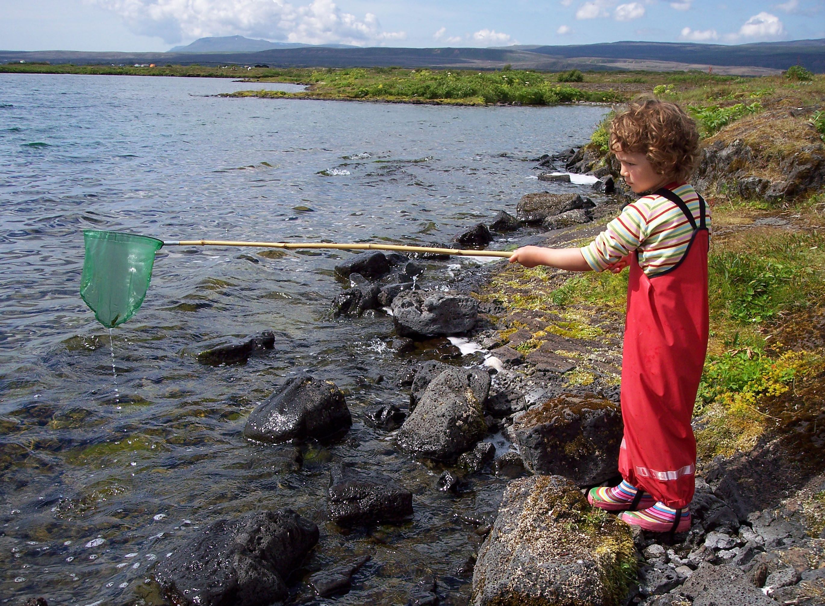 Zehn Gründe für einen Urlaub mit Kindern in Island - Kind mit Fangnetz