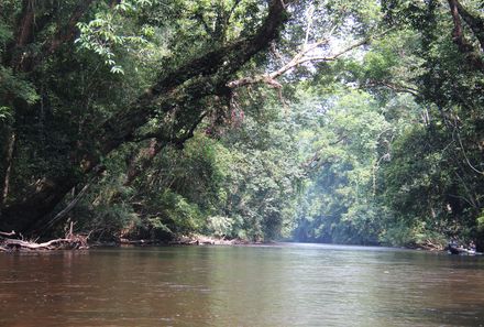 Familienurlaub Malaysia & Borneo - Malaysia & Borneo Teens on Tour - Taman Negara - Fluss