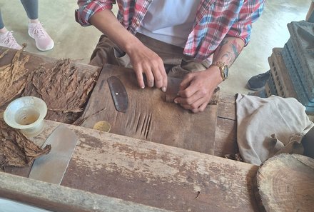 Kuba for family - Vinales - Tabak herstellen