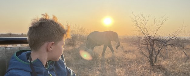 Südafrika for family - Südafrika Familienreise - Kind auf Safari im Jeep