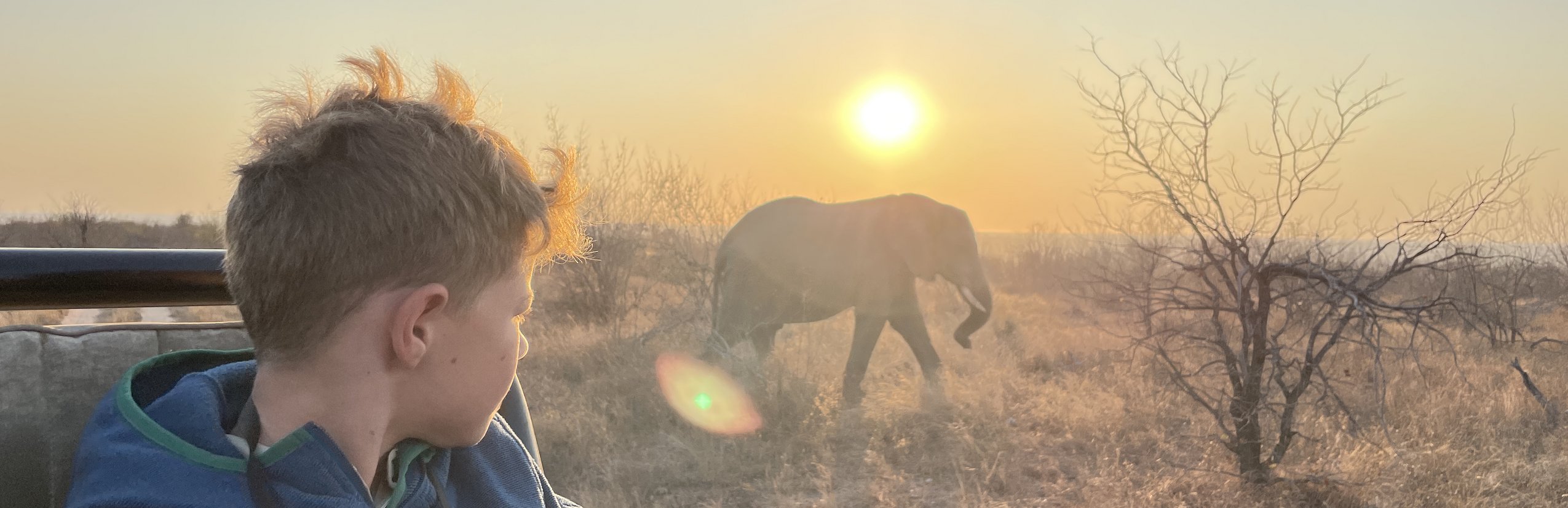 Südafrika for family - Südafrika Familienreise - Kind auf Safari im Jeep