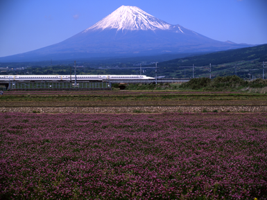 In der Ferne ragt der Berg Fuji empor