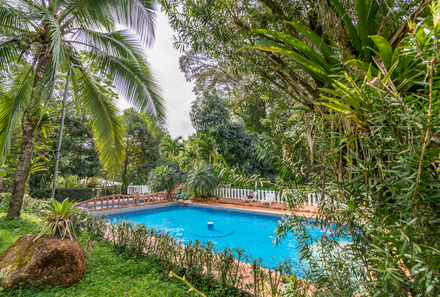 Familienreise Costa Rica - Costa Rica Family & Teens - Puerto Viejo de Sarapiqui - Ara Ambigua Lodge - Blick auf den Pool 