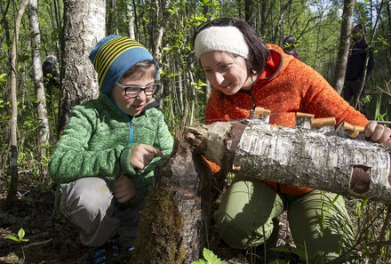 Baltikum Family & Teens - Estland - gebrochener Baum