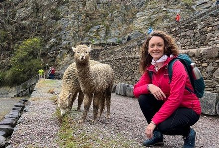 Peru Family & Teens - Peru Familienreise mit Teens - Festung Ollantaytambo Babylamas