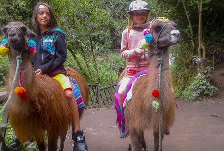 Familienreise Galapagos und Ecuador - Galapagos Family & Teens - Geschmückte ecuadorianische Lamas