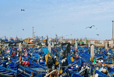 Familienreise Marokko - Marokko for family individuell - Fischerboote im Hafen von Essaouira