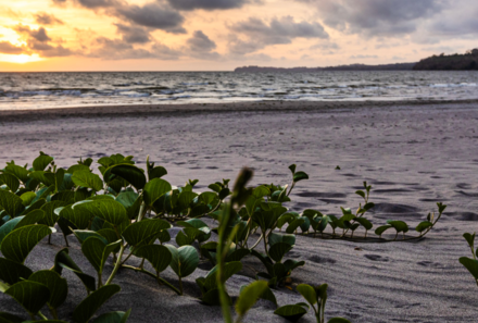 Nicaragua mit Kindern - Familienreise Nicaragua und Costa Rica - Ometepe Beach Hotel Strand