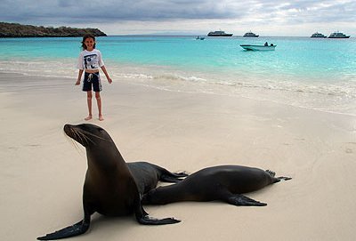 Familienreise Galapagos - Galapagos for family - Kind und Robbe