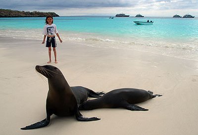 Galapagos Familienreise - Galapagos for family individuell - Robbe und Kind am Strand 