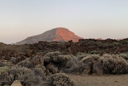 For Family Reisen - Reiseziele 2024 - Teneriffa - Teide Nationalpark