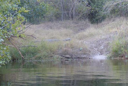 Namibia & Botswana mit Jugendlichen - Namibia & Botswana Family & Teens - Zambesi Fluss - Bootstour zu Krokodilen