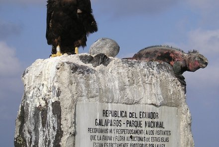 Familienreise Ecuador - Galapagos for family - Wale Nationalpark