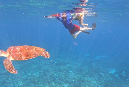 Familienreise Karibik- Karibik for family - Segelreise - Kind schnorchelt im Meer