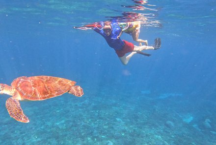 Bali Familienreise - Bali for family - Nusa Lembongan - Schnorcheln mit Schildkröte