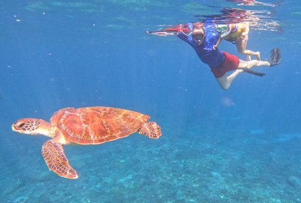 Java-Bali Family & Teens - Verlängerung auf Nusa Lembongan - Schnorcheln mit Schildkröte