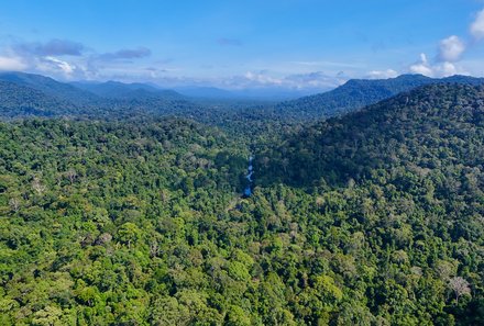 Familienreise Malaysia - Malaysia & Borneo Family & Teens - Taman Negara Nationalpark - Blick auf Regenwald