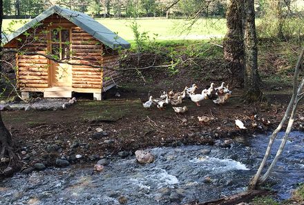 Albanien Familienreise - Albanien for family - Farma Sotira Enten am Fluss