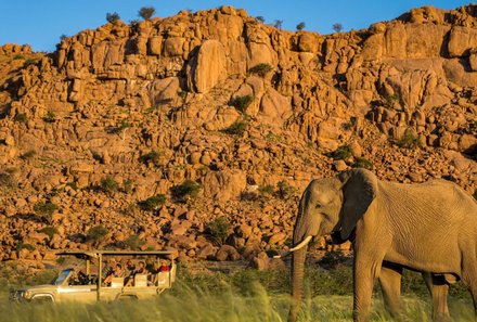 Namibia Deluxe Familienreise individuell - Camp Kipwe - Wüstenelefanten