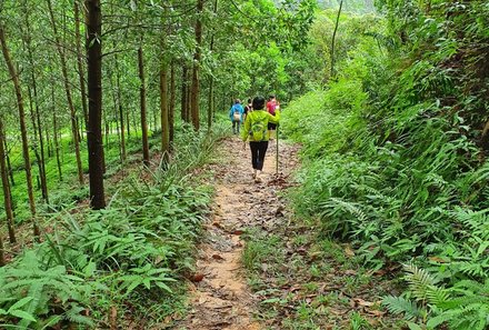 Laos und Vietnam Familienreise - Laos und Vietnam Reise mit Kindern - Wanderung in den Bambuswald Mai Chau