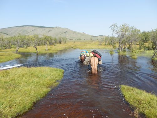 Mongolei Familienreise - Mongolei for family - Pferdetrekking