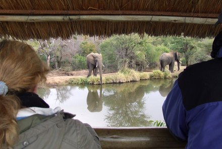 Familienreise Südafrika - Südafrika for family -Maktsui Safari Farm Hippohide