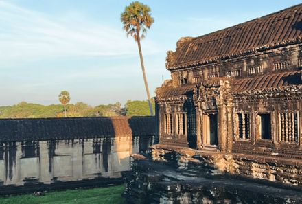 Vietnam & Kambodscha Familienreise - Angkor Wat - Tempel mit Palme