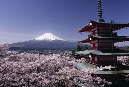 Japan mit Kindern  - Japan for family - Fuji mit Schureito Pagode