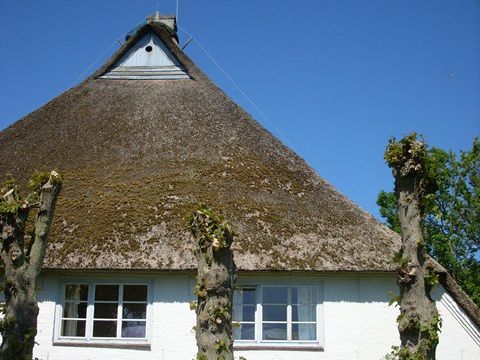 Europareisen mit Kindern - Reetdach-Haus