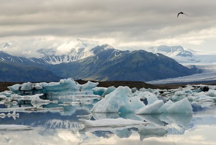 Island Familienreise - Island for family - Gletscherlagune Jökulsárlón
