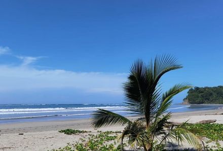 Familienreise Costa Rica - Costa Rica Family & Teens - Pazifikstrand Playa Samara