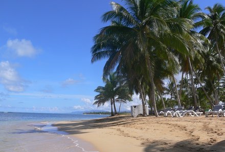 Dom Rep Familienreise - Samana - Palmen und Strand