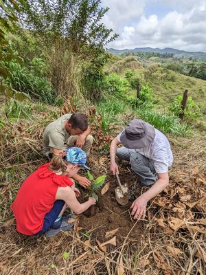 Feedback CRFFAL Osterferien 2023 - Costa Rica for family - Familie pflanzt einen Baum