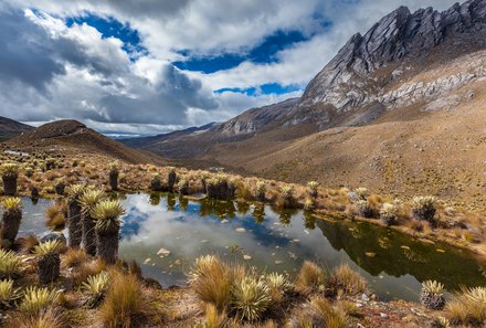 Kolumbien Familienreise - Kolumbien Family & Teens - kleiner See im Los Nevados Nationalpark