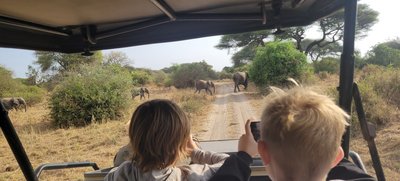 Tansania for family - Tansania Familienreise - Kids auf Safari Tansania for family - Tansania Familienreise - Kids auf Safari