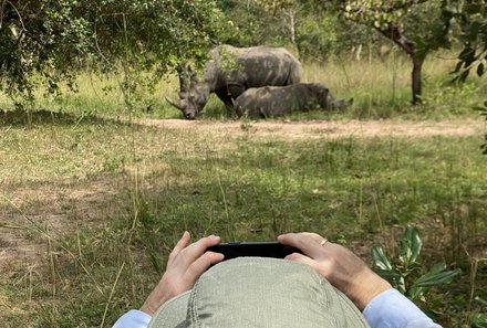 Uganda Familienurlaub - Uganda Family & Teens - Tierbeobachtung mit Nashörnern