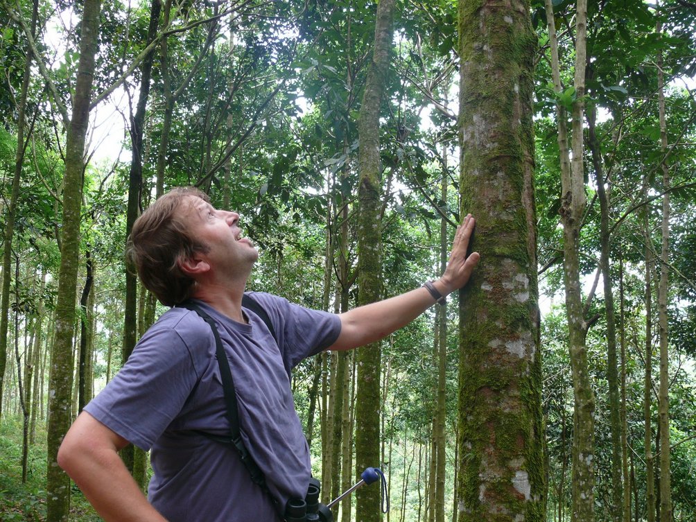 Familienreise_Costa Rica_Rainer Stoll betrachtet Baum