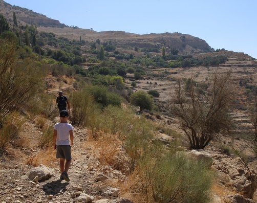 Urlaub in Jordanien Erfahrungen - Familienreise in Jordanien - Dana Nature Reserve