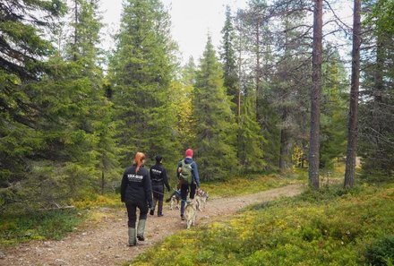 Finnland Familienreise - Finnland for family - Freizeit - Abreise aus Finnland - Huskys in Finnland