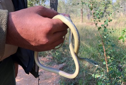 Familienreise Südafrika - Südafrika for family -Schlange in der Hand