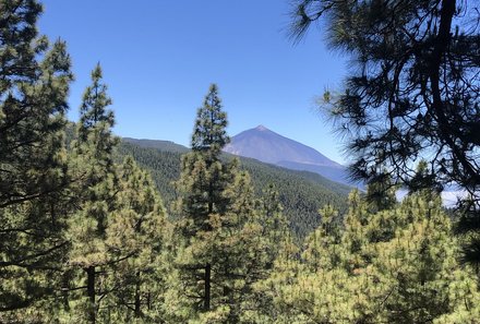 Teneriffa Familienurlaub - Teneriffa for family - Fahrt durch den Teide Nationalpark - Blick auf den Teide