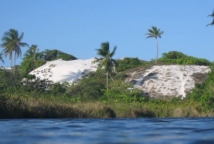 Südamerika Reisen mit Kindern - Brasilien mit Kindern - Küste mit Palmen in Bahia
