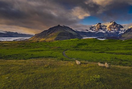 Island for family individuell - Hotel Skaftafell - Landschaft