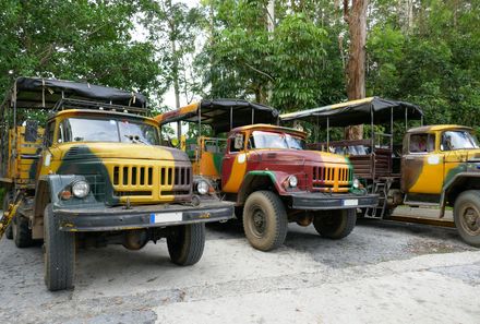 Familienreise Kuba - Kuba Family & Teens - Nationalpark Guanayara LKW