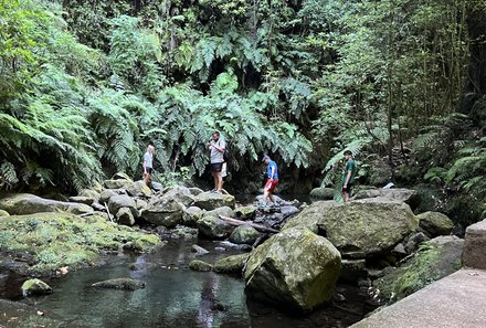 Madeira mit Kindern - Madeira for family - Felsen bei der Wasserfall-Wanderung Levada