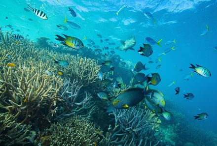  Australien for family - Australien Familienreise -Unterwasserwelt