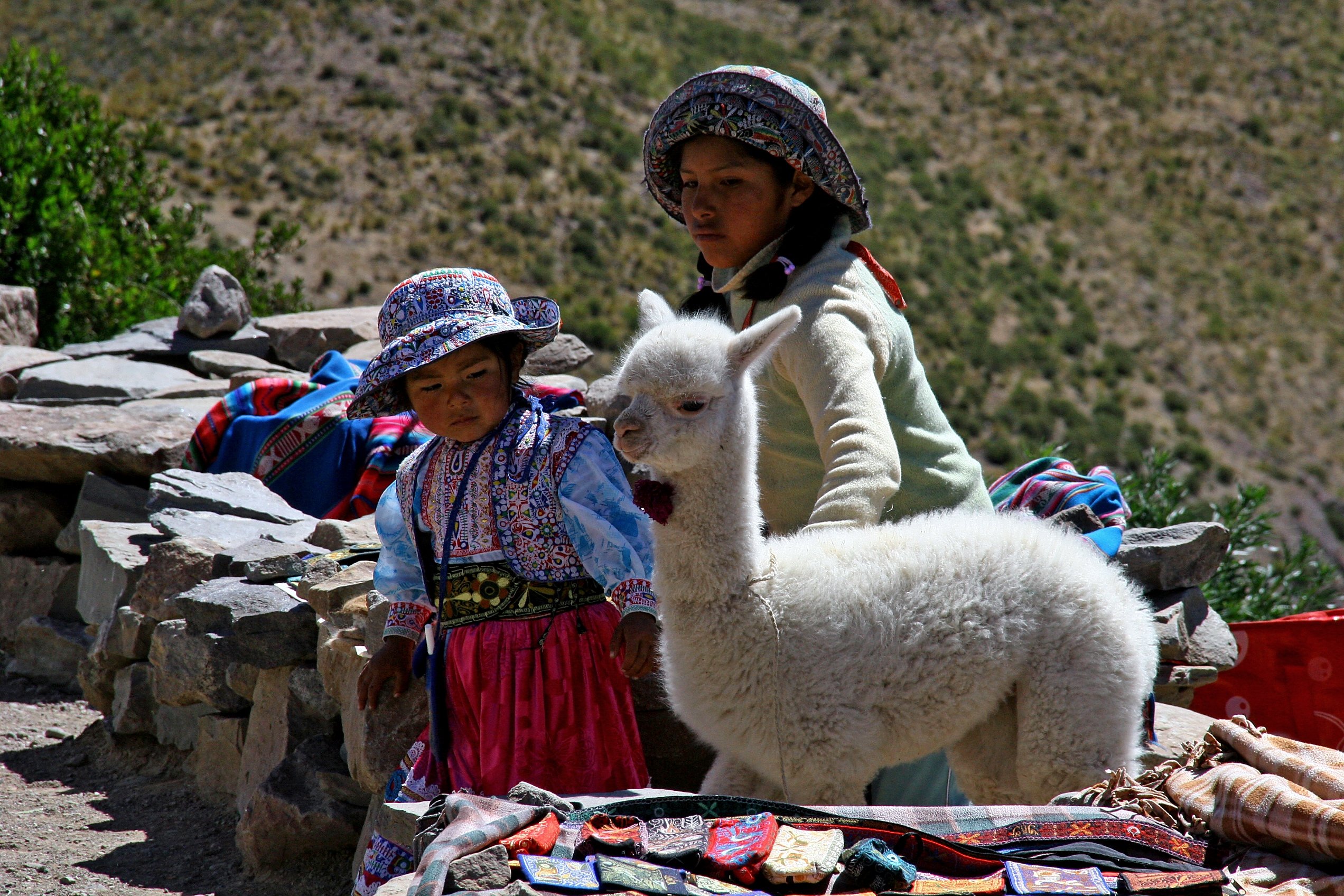 Peru mit Jugendlichen - Peru Erlebnisreise für Familien - Peru mit Jugendlichen - Peru Erlebnisreise für Familien - Kind füttert LamaPeru Teens on Tour - Mädchen