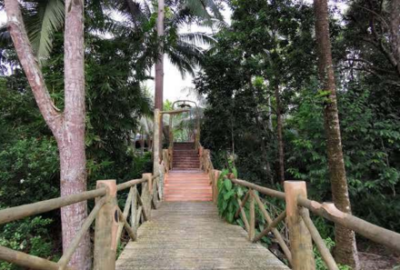 Malaysia Family & Teens - Familienreise Malaysia - Sepilok Jungle Resort - Steg