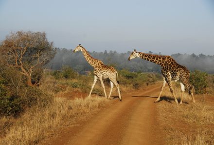 Familienurlaub Südafrika - Südafrika for family individuell - Krüger