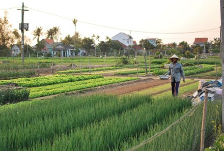 Vietnam for family individuell - Hoi An - Reisfelder